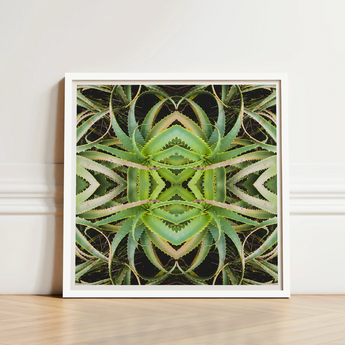 Framed Artwork Symmetrical Kaleidoscopic Pattern Green Succulent Leaves Morphs Aloe Vera, Verdant Rorschach Test, Trippy