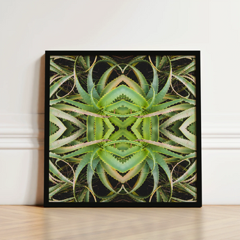 Black-framed Square Art Print Symmetrical Kaleidoscopic Design Vibrant Morphs Aloe Vera, Verdant Rorschach Test, Trippy