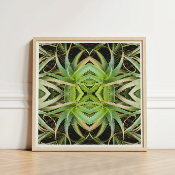 Square-framed Artwork Symmetrical Kaleidoscopic Pattern Green Succulent Leaves Morphs Aloe Vera, Verdant Rorschach Test, Trippy