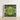 Framed Artwork Symmetrical Kaleidoscopic Pattern Green Succulent Leaves Morphs Aloe Vera, Verdant Rorschach Test, Trippy