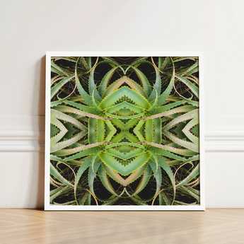 Framed Artwork Symmetrical Kaleidoscopic Pattern Green Succulent Leaves Morphs Aloe Vera, Verdant Rorschach Test, Trippy