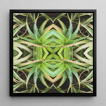 Spiked too - Trippy Aloe Vera Botanical Op Art Print / Canvas, Posters Prints & Visual Artwork, Toby Leon