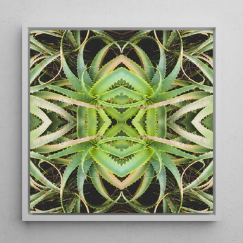Spiked too - Trippy Aloe Vera Botanical Op Art Print / Canvas Framed Square Artwork Symmetrical Kaleidoscopic Pattern Green Succulent