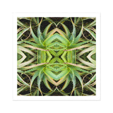 Spiked too - Trippy Aloe Vera Botanical Op Art Print / Canvas Kaleidoscopic Pattern Created Mirrored Plant Leaves Morphs, Verdant Rorschach