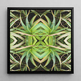 Spiked too - Trippy Aloe Vera Botanical Op Art Print / Canvas, Morphs Aloe Vera, Verdant Rorschach Test, Trippy Aloe Vera
