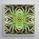 Spiked too - Trippy Aloe Vera Botanical Op Art Print / Canvas, Morphs Aloe Vera, Verdant Rorschach Test, Trippy Aloe Vera