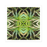 Spiked too - Trippy Aloe Vera Botanical Op Art Print / Canvas, Morphs Aloe Vera, Verdant Rorschach Test, Trippy Aloe Vera