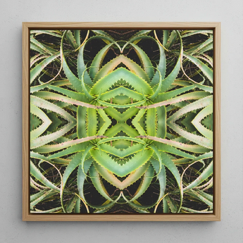 Spiked too - Trippy Aloe Vera Botanical Op Art Print / Canvas, Morphs Aloe Vera, Verdant Rorschach Test, Trippy Aloe Vera