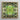Square-framed Artwork Symmetrical Kaleidoscopic Pattern Green Succulent Leaves Morphs Aloe Vera, Verdant Rorschach Test, Trippy