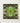 Square Canvas Print Symmetrical Kaleidoscopic Pattern Green Succulent Morphs Aloe Vera, Verdant Rorschach Test, Trippy