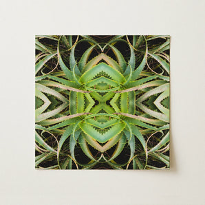 Spiked too - Trippy Aloe Vera Botanical Op Art Print / Canvas Square Canvas Print Symmetrical Kaleidoscopic Pattern Green Succulent Morphs