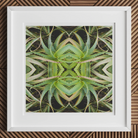 Spiked too - Trippy Aloe Vera Botanical Op Art Print Posters Prints & Visual Artwork