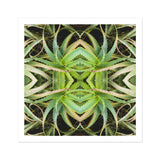 Spiked too - Trippy Aloe Vera Botanical Op Art Print, Kaleidoscopic Pattern Created Mirrored Aloe Vera Plant Leaves