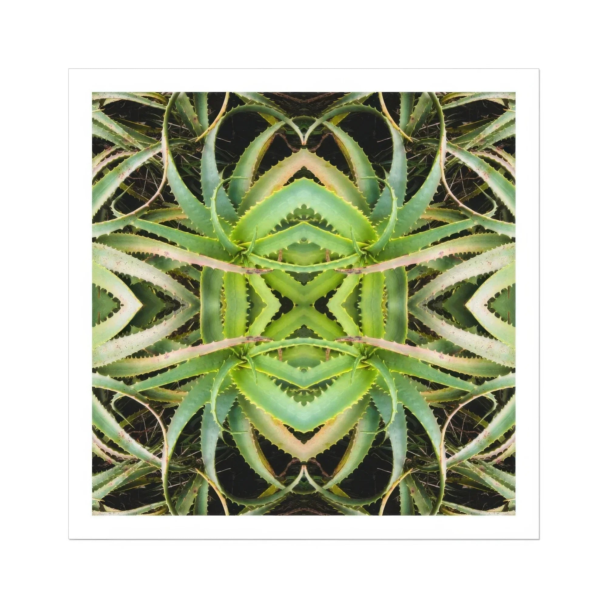 Spiked too - Trippy Aloe Vera Botanical Op Art Print Posters Prints & Visual Artwork