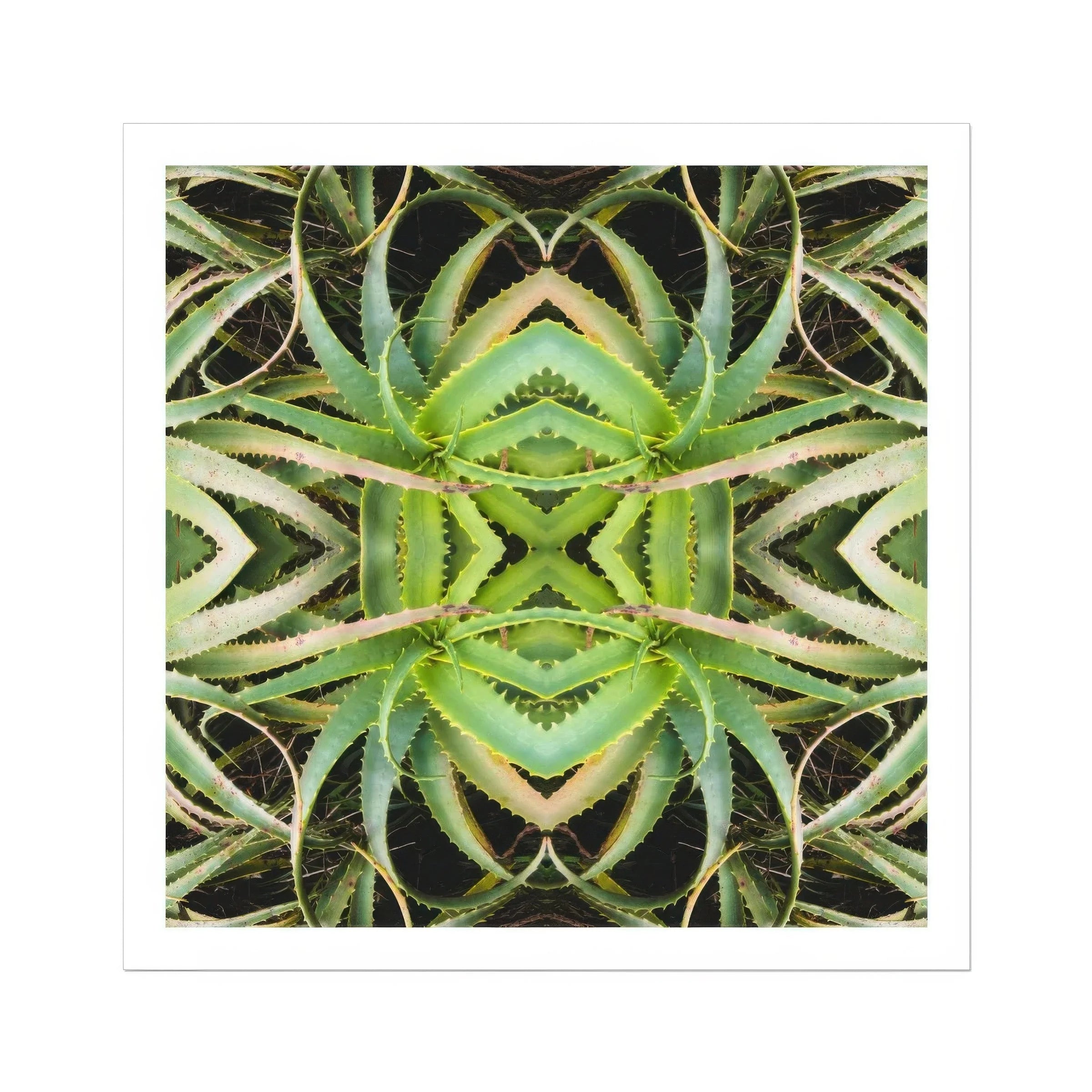 Spiked too - Trippy Aloe Vera Botanical Op Art Print Posters Prints & Visual Artwork