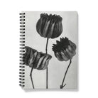 Abutilon (lime Mallow) Pod - Karl Blossfeldt Notebook Notebooks & Notepads