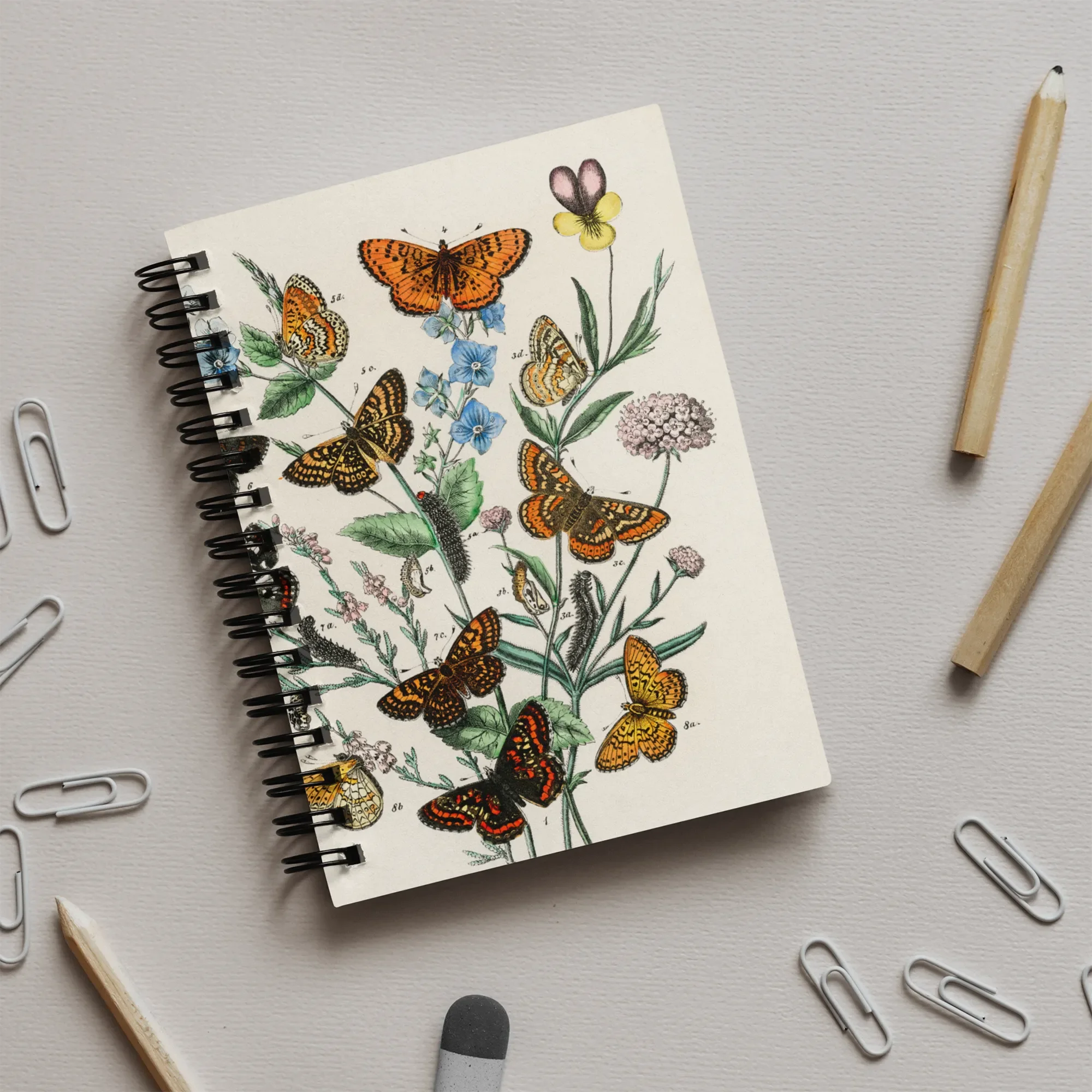 European Butterflies & Moths 2 - William Forsell Kirby Notebook Notebooks Notepads