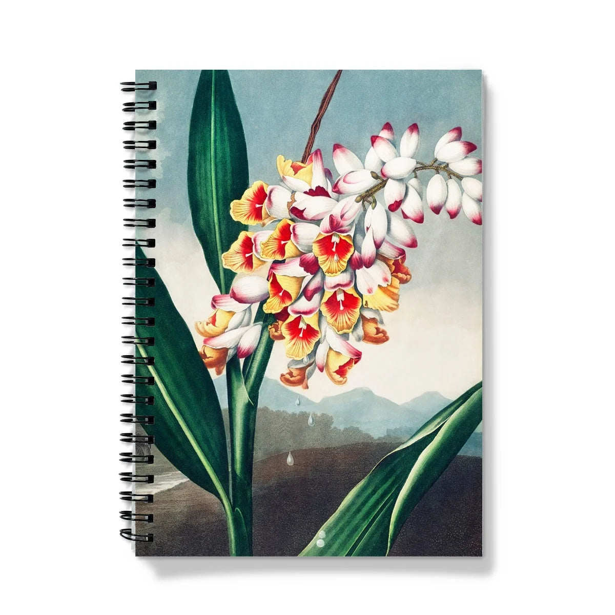 Nodding Renealmia - Robert John Thornton Notebook A5 / Graph Notebooks & Notepads