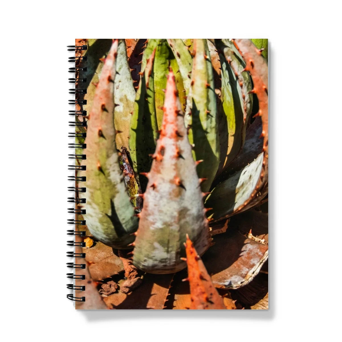 Layer Cake - Modern Succulent Art Notebook A5 - Graph Paper Notebooks & Notepads