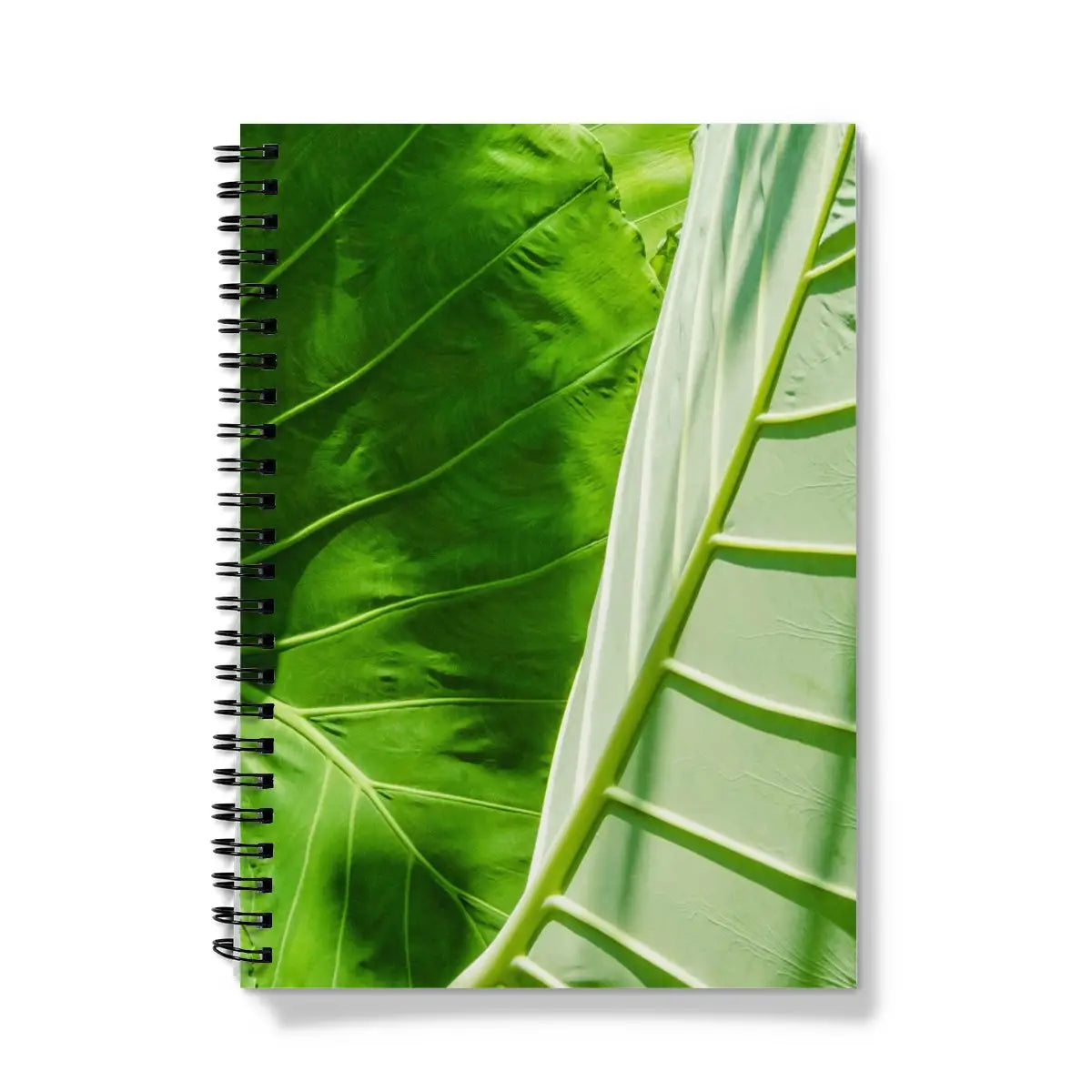 Clash of the Hulks - Koh Chang Botanical Art Notebook A5 - Graph Paper Notebooks & Notepads