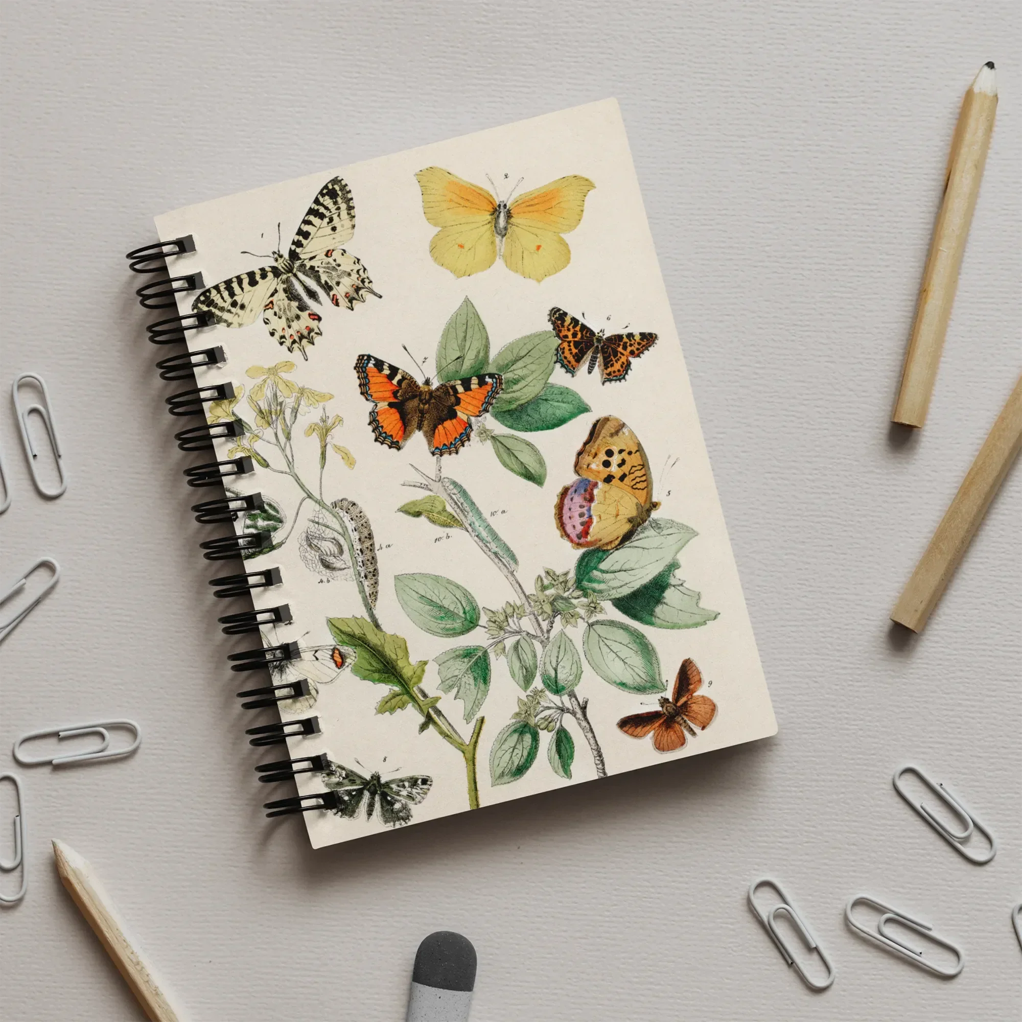 European Butterflies & Moths 3 - William Forsell Kirby Notebook Notebooks Notepads