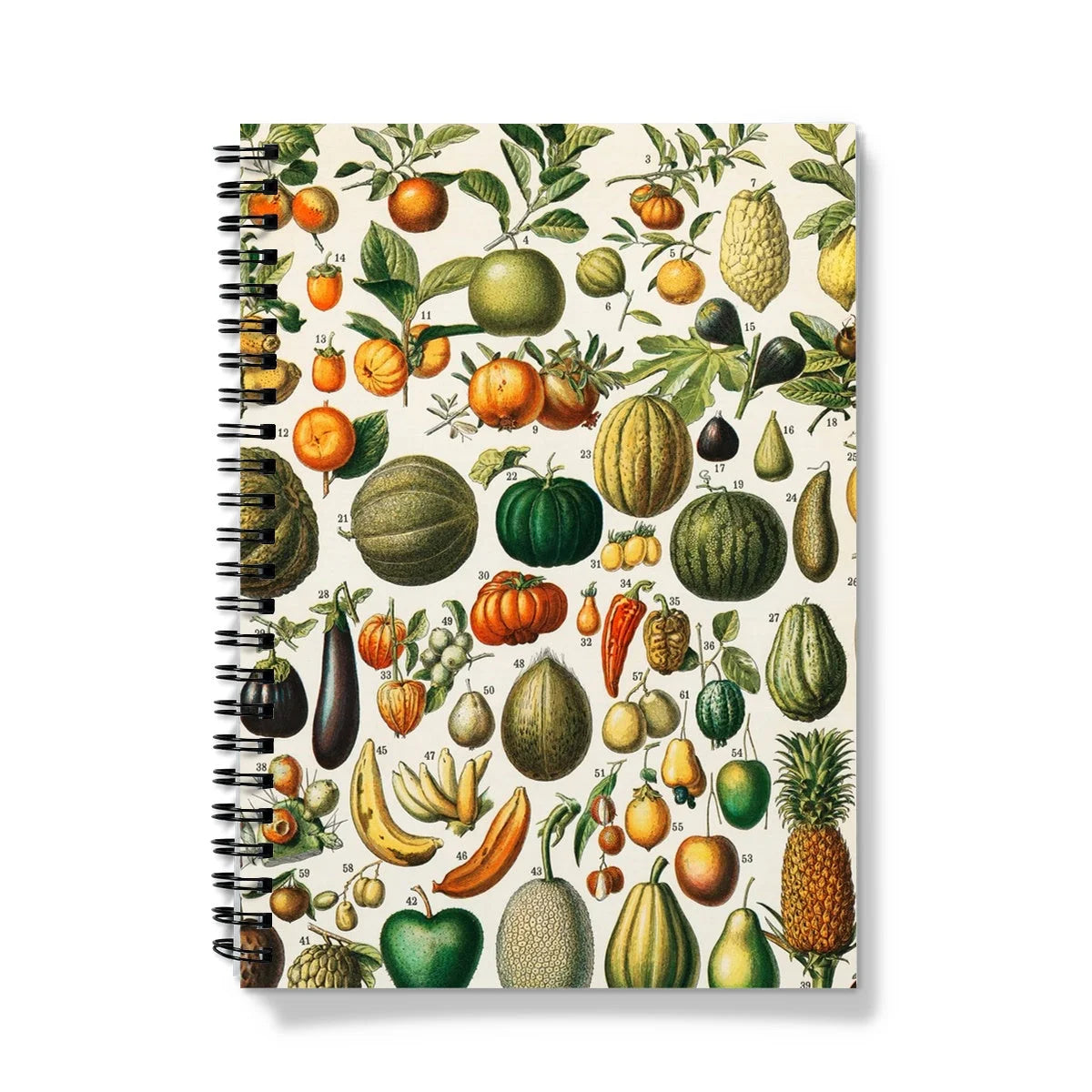 Fruits & Vegetables - Nouveau Larousse Illustre Notebook A5 / Graph Notebooks Notepads