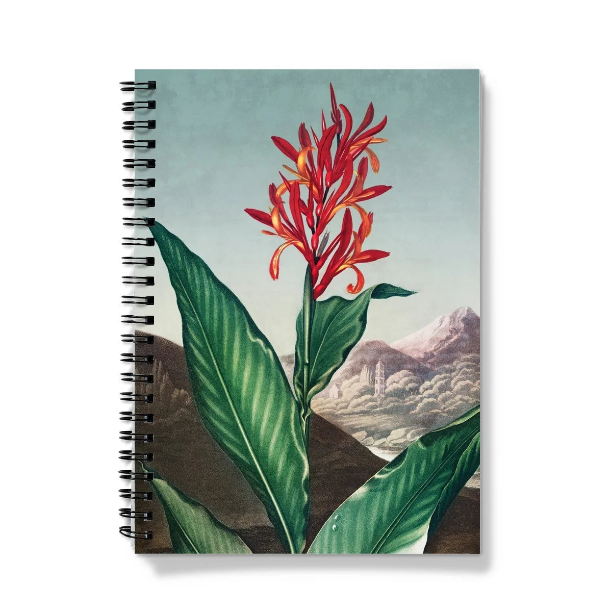 Indian Reed - Robert John Thornton Notebook A5 / Graph Notebooks & Notepads