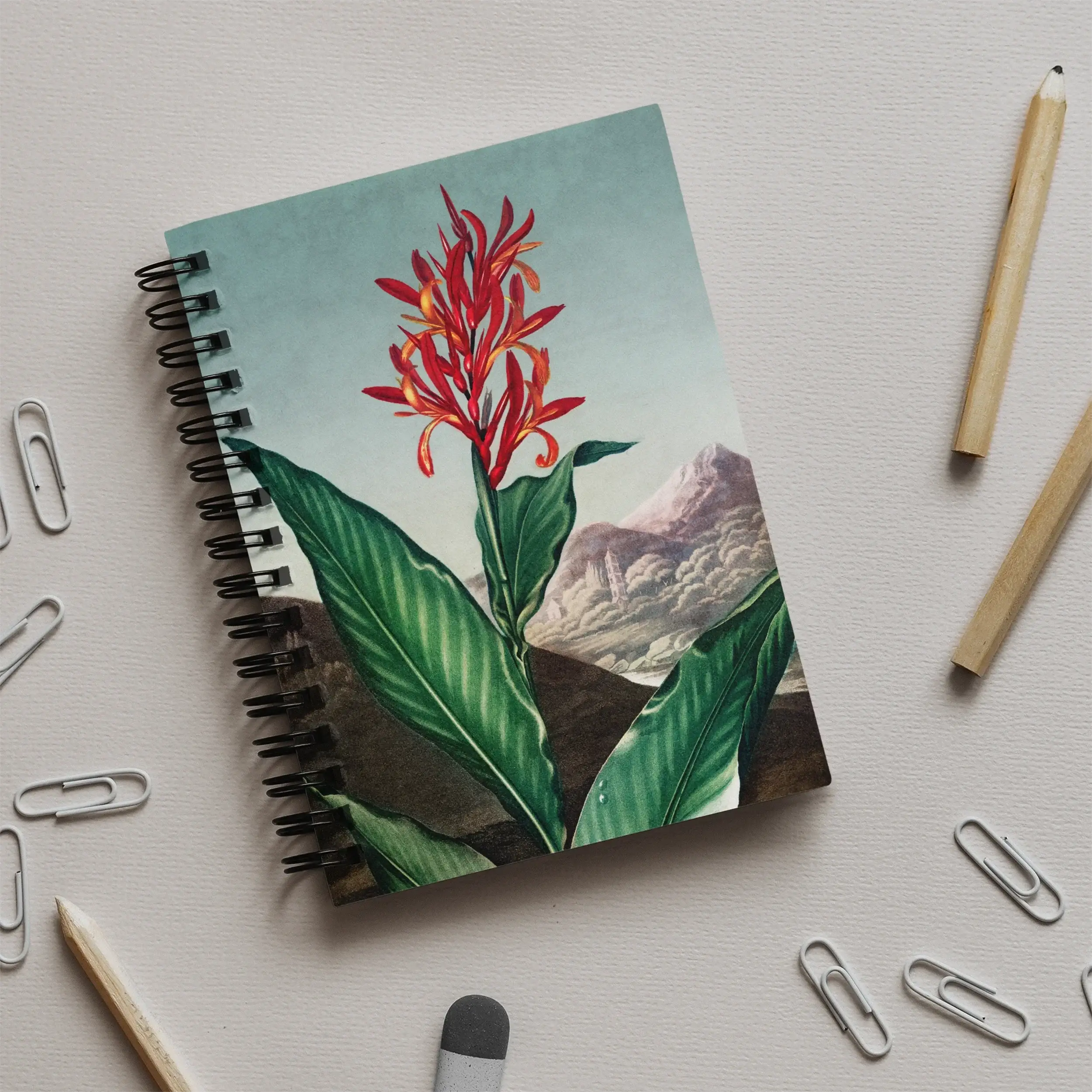 Indian Reed - Robert John Thornton Canna Indica Notebook Notebooks & Notepads