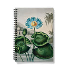 Blue Egyptian Water Lily - Robert John Thornton Notebook Notebooks & Notepads