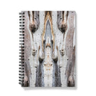 Barking Mad 3 - Trippy Tree Notebook A5 - Graph Paper Notebooks & Notepads