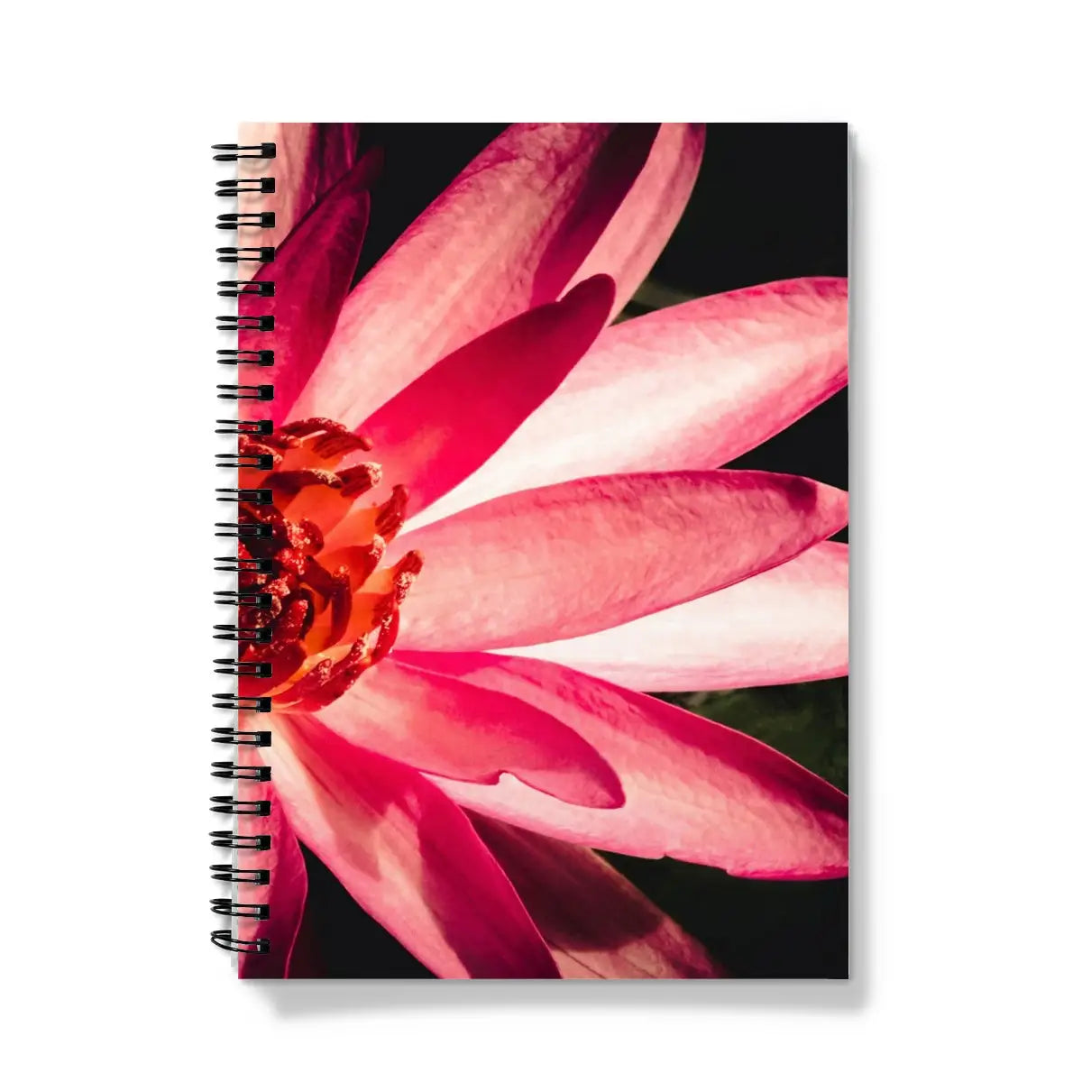 Casanova - Pink Red Lotus Flower Art Photography Notebook A5 - Graph Paper Notebooks & Notepads