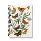 European Butterflies & Moths 2 - William Forsell Kirby Notebook A5 / Graph Notebooks Notepads