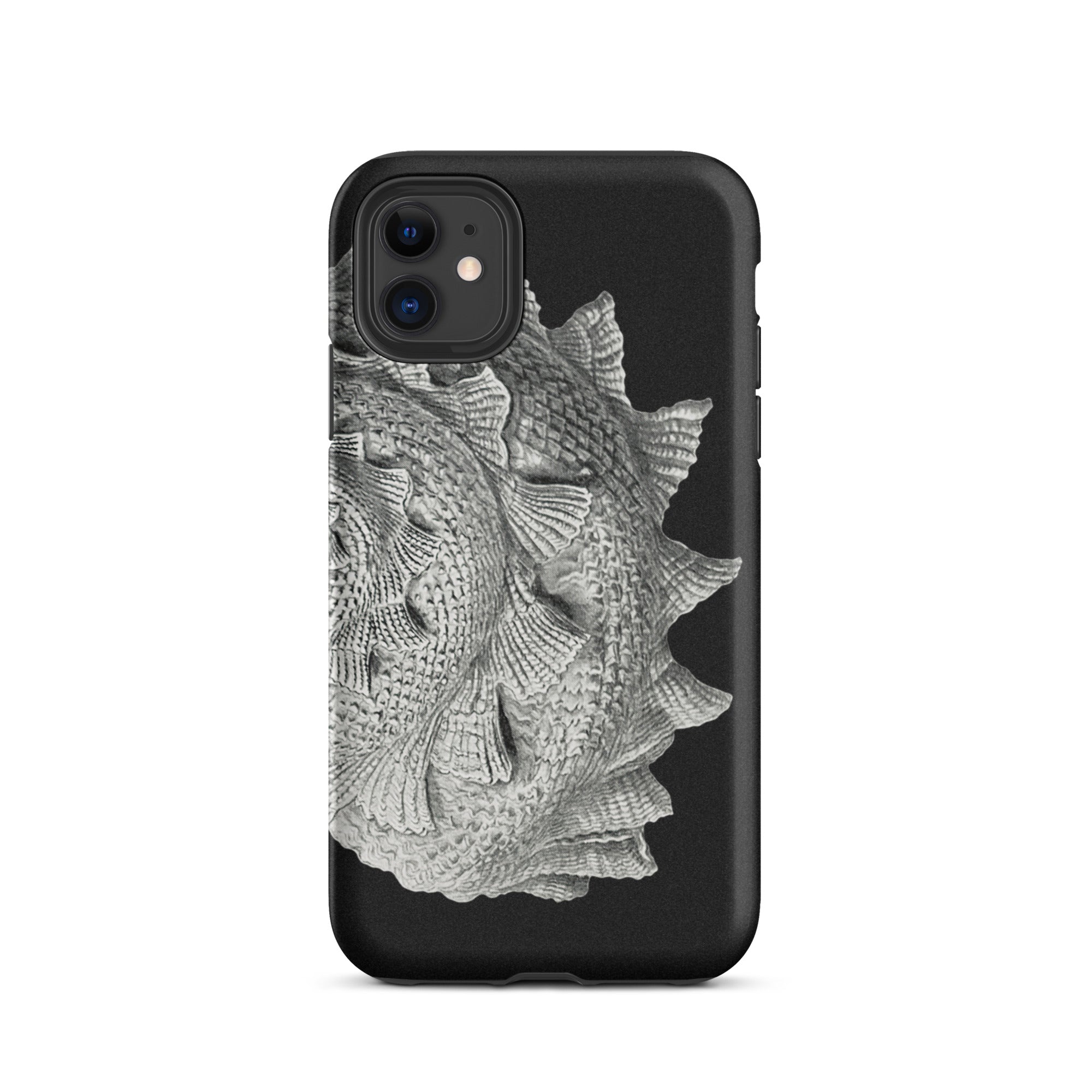 Spiral Shell Ernst Haeckel Sea Life Graphic Iphone Case, 11 / Matte, Black Phone Case Silver Fish Design
