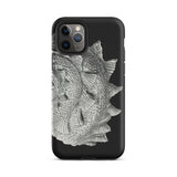 Spiral Shell - Ernst Haeckel Sea Life Graphic Iphone Case, 11 Pro / Matte, Black Phone Case Silver Fish Design