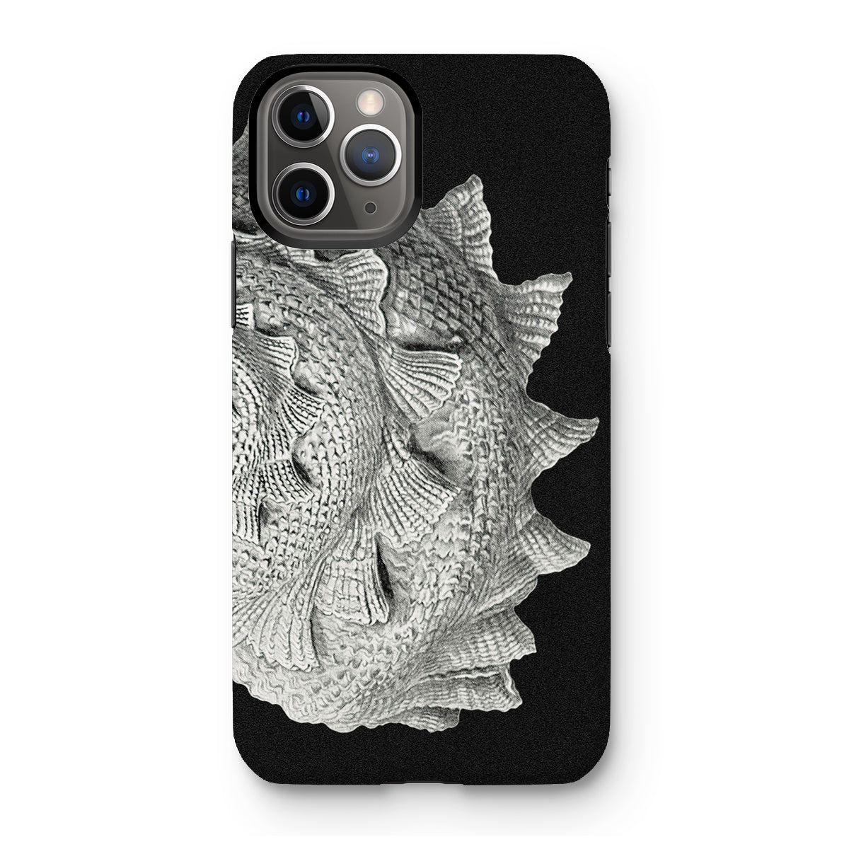 Spiral Shell - Ernst Haeckel Sea Life Graphic Iphone Case, 11 Pro / Matte, Black Phone Case Textured Seashell Design