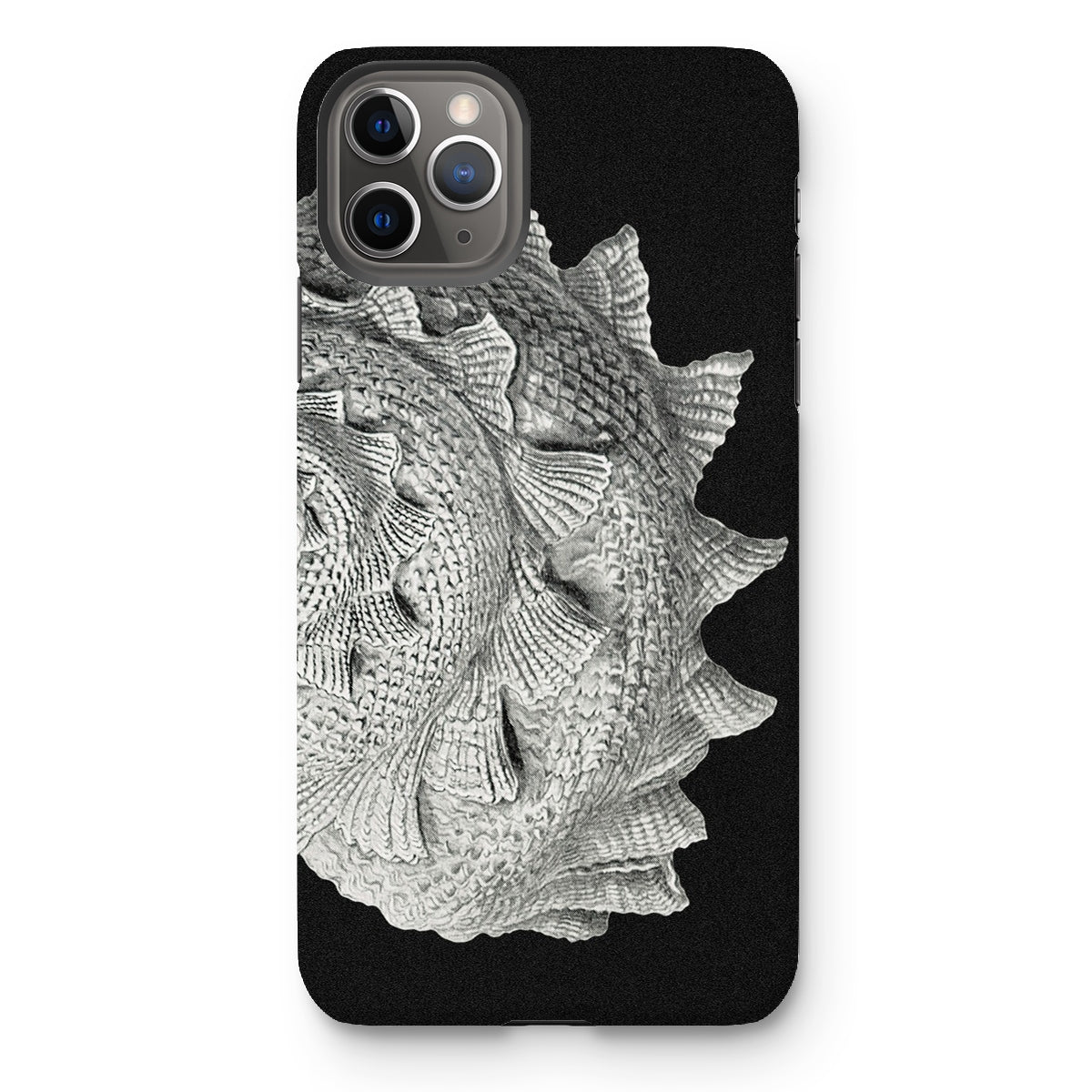 Spiral Shell - Ernst Haeckel Sea Life Graphic Iphone Case, 11 Pro Max / Matte, Black Phone Case Silver Fish Scale Design