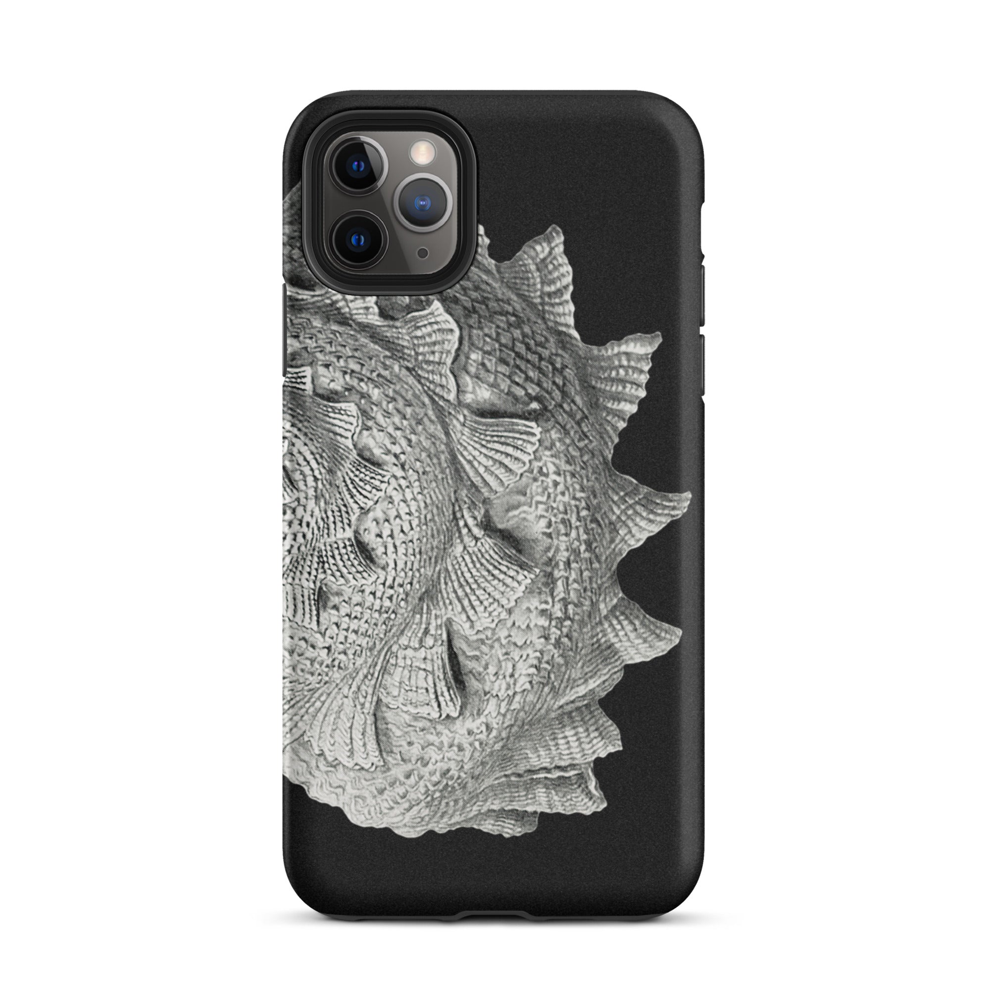 Spiral Shell Ernst Haeckel Sea Life Graphic Iphone Case, 11 Pro Max / Matte, Black Phone Case Silver Fish Design