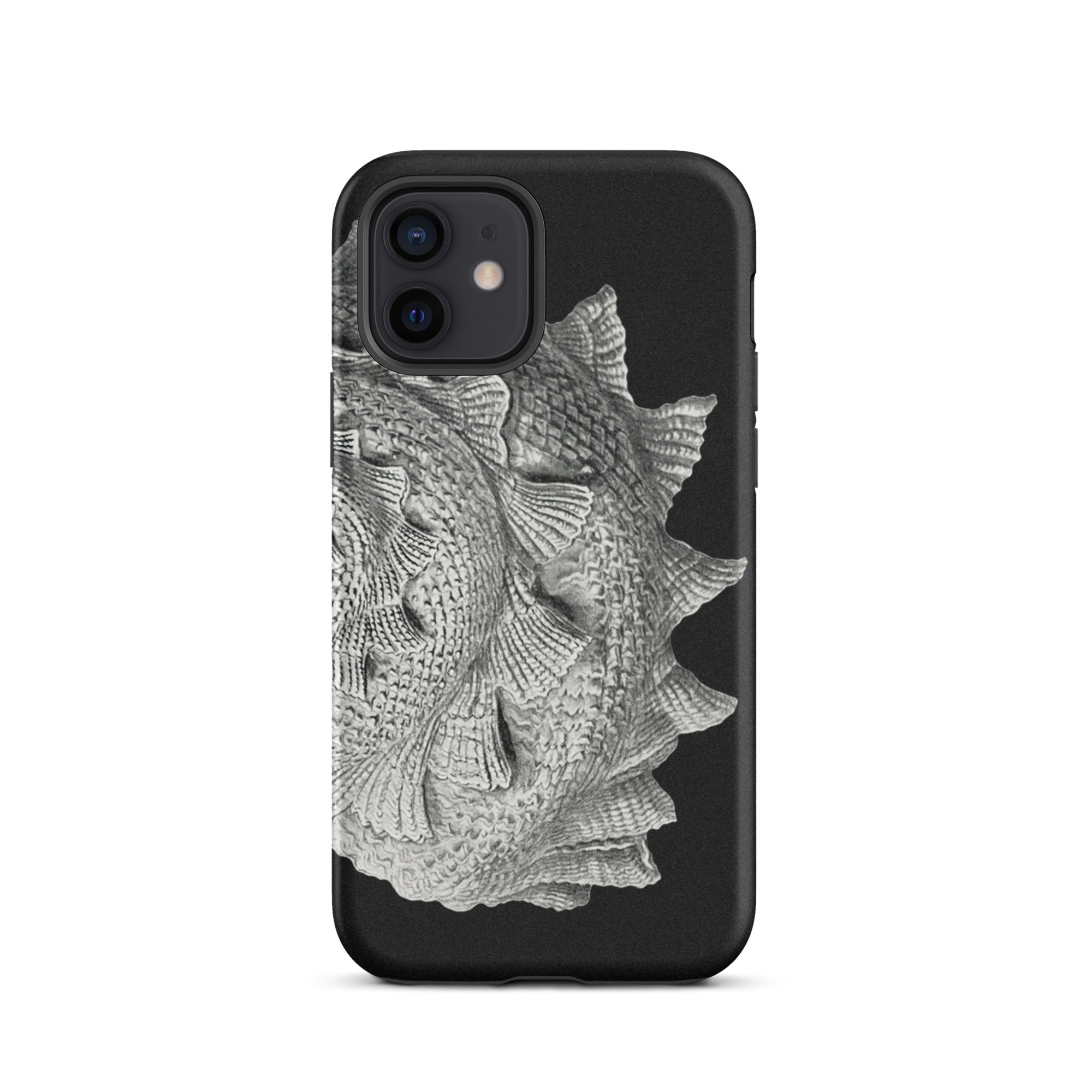 Spiral Shell Ernst Haeckel Sea Life Graphic Iphone Case, 12 / Matte, Black Phone Case Silver Fish Design