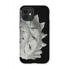 Spiral Shell - Ernst Haeckel Sea Life Graphic Iphone Case, 12 Mini / Matte, Black Phone Case Fish Scale Design