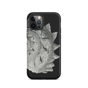 Spiral Shell - Ernst Haeckel Sea Life Graphic Iphone Case, 12 Pro / Matte, Black Phone Case Silver Fish Design