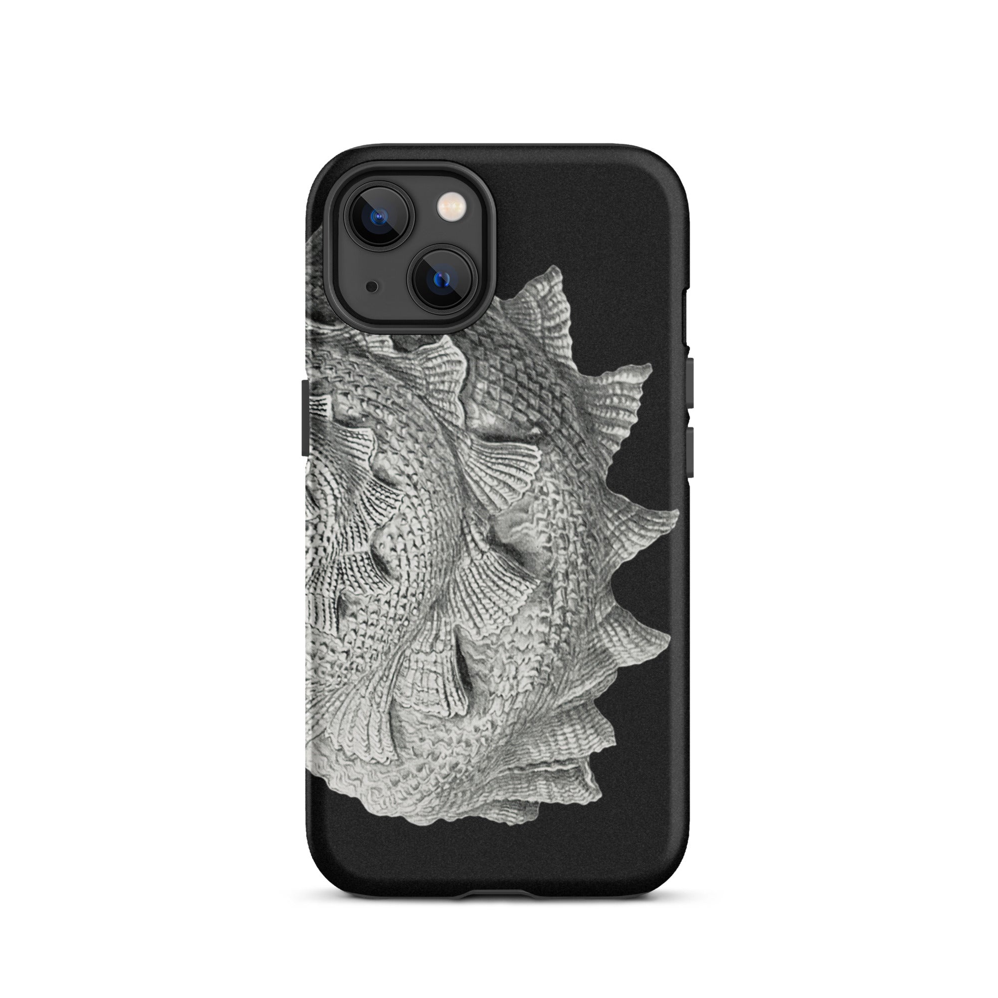 Spiral Shell Ernst Haeckel Sea Life Graphic Iphone Case, 13 / Matte, Black Iphone Case Silver Fish Design