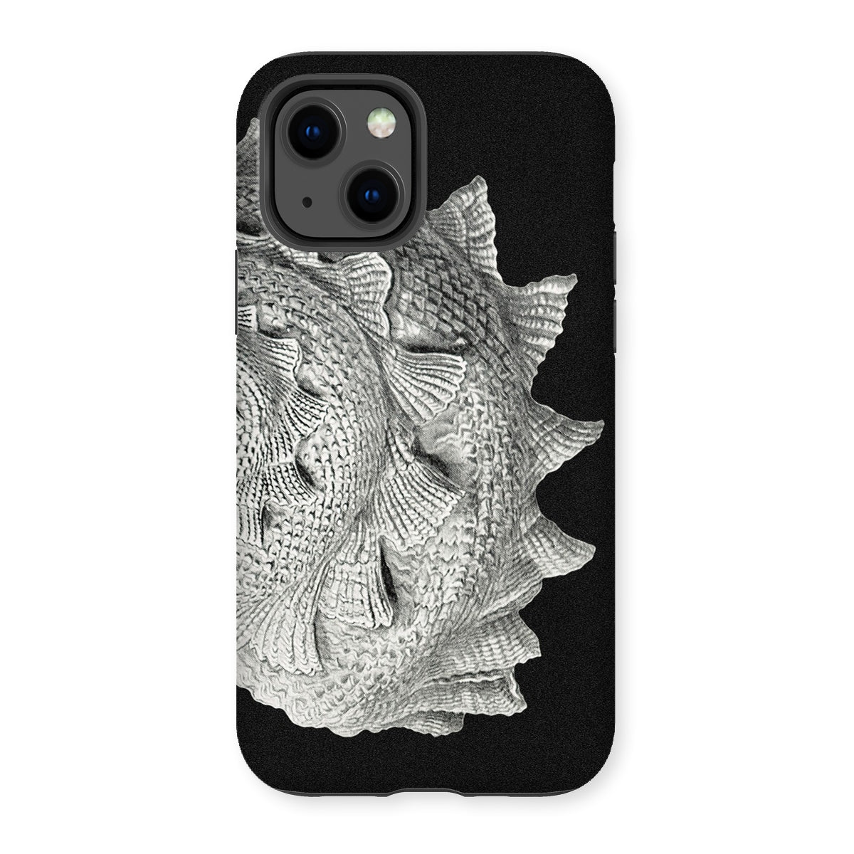 Spiral Shell - Ernst Haeckel Sea Life Graphic Iphone Case, 13 / Matte, Intricate Fish-scale Patterned Phone Case