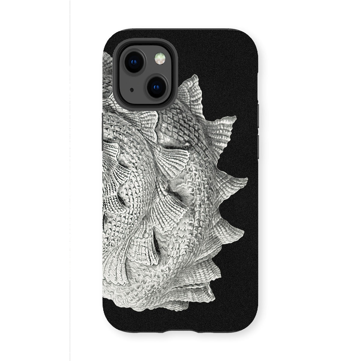 Spiral Shell - Ernst Haeckel Sea Life Graphic Iphone Case, 13 Mini / Matte, Black Phone Case Textured Seashell Design