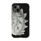 Spiral Shell - Ernst Haeckel Sea Life Graphic Iphone Case, 13 Mini / Matte, Black Phone Case Textured Seashell Design
