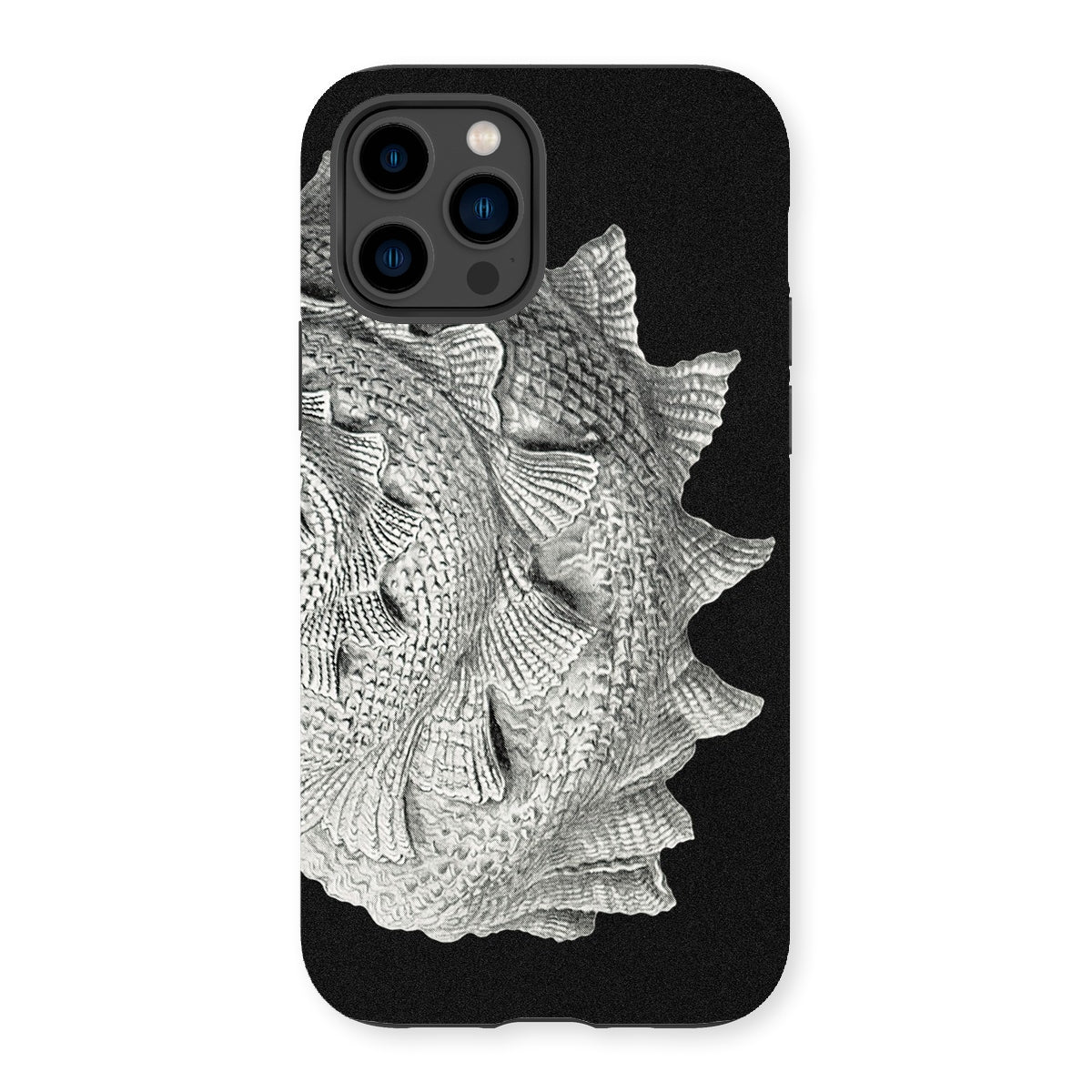 Spiral Shell - Ernst Haeckel Sea Life Graphic Iphone Case, 14 Pro / Matte, Textured Fish-scale Phone Case