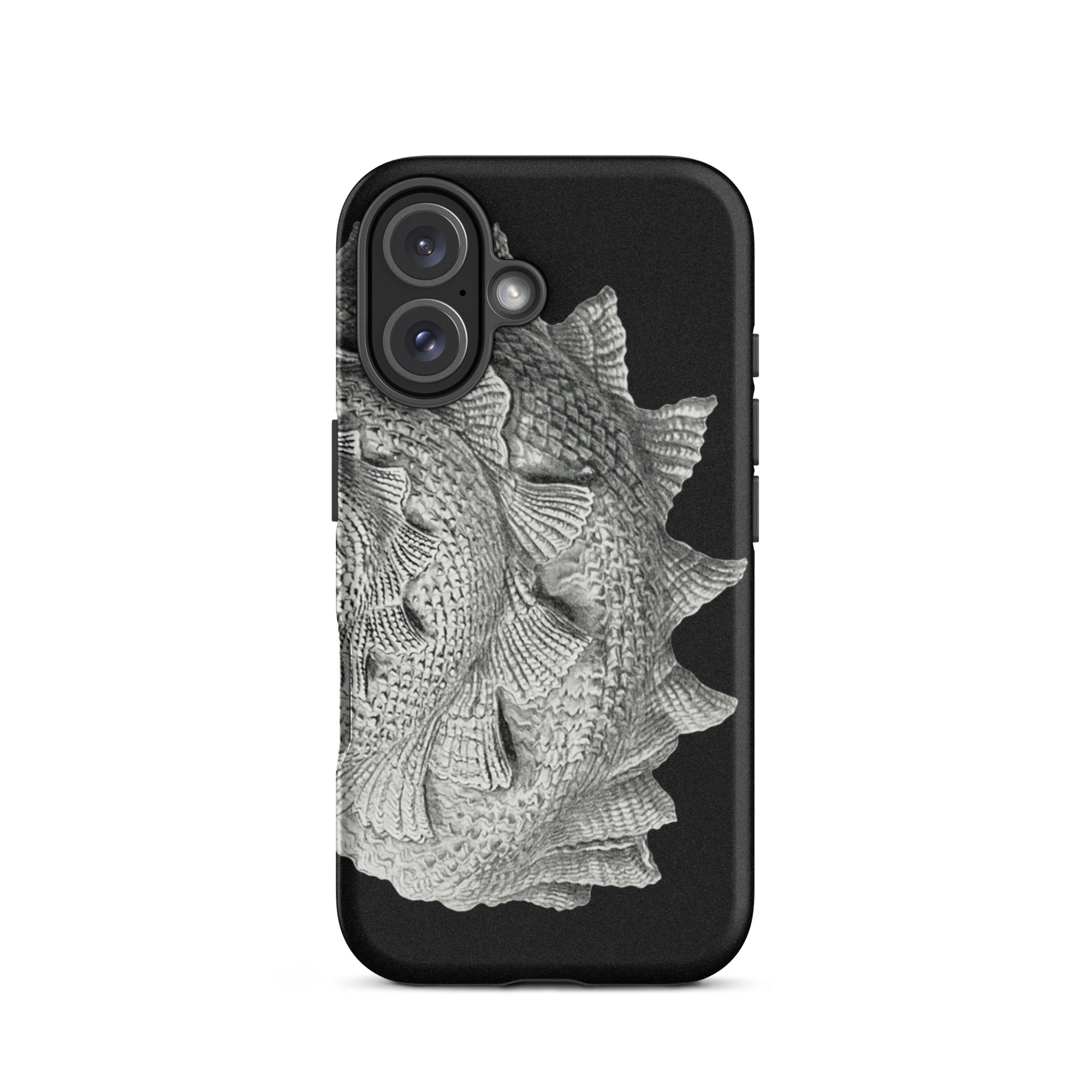 Spiral Shell Ernst Haeckel Sea Life Graphic Iphone Case, 16 / Matte, Black Phone Case Fish Scale Design