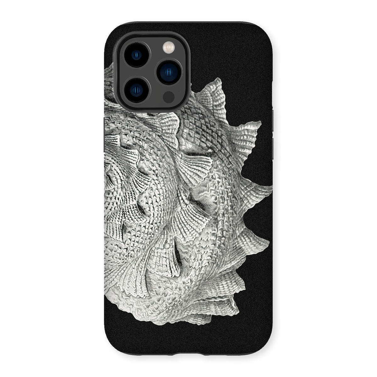 Spiral Shell - Ernst Haeckel Sea Life Graphic Iphone Case, 14 Pro Max / Matte, Kite-791224136, Black Phone Case Fish