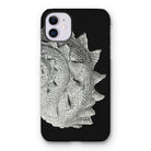 Spiral Shell - Ernst Haeckel Sea Life Graphic Iphone Case - 11 / Matte