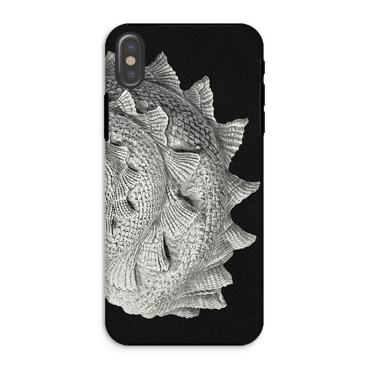 Spiral Shell - Ernst Haeckel Sea Life Graphic Iphone Case - Xs / Matte