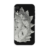 Spiral Shell - Ernst Haeckel Sea Life Graphic Iphone Case, Xr / Matte, Black Phone Case Textured Fish Design